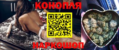 a pvp Будённовск