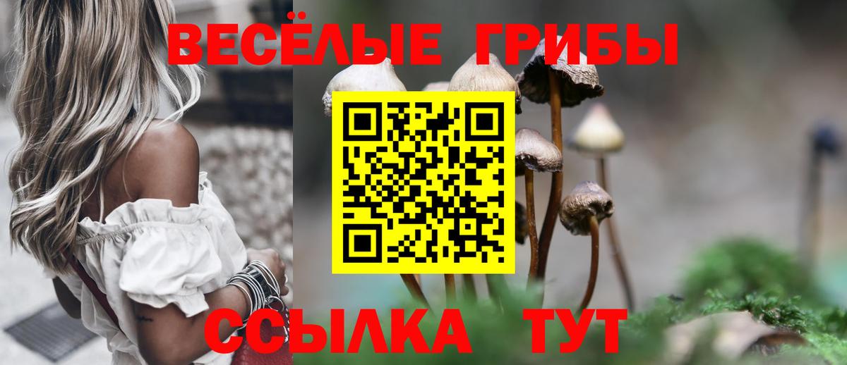 Псилоцибиновые грибы мухоморы Горно-Алтайск