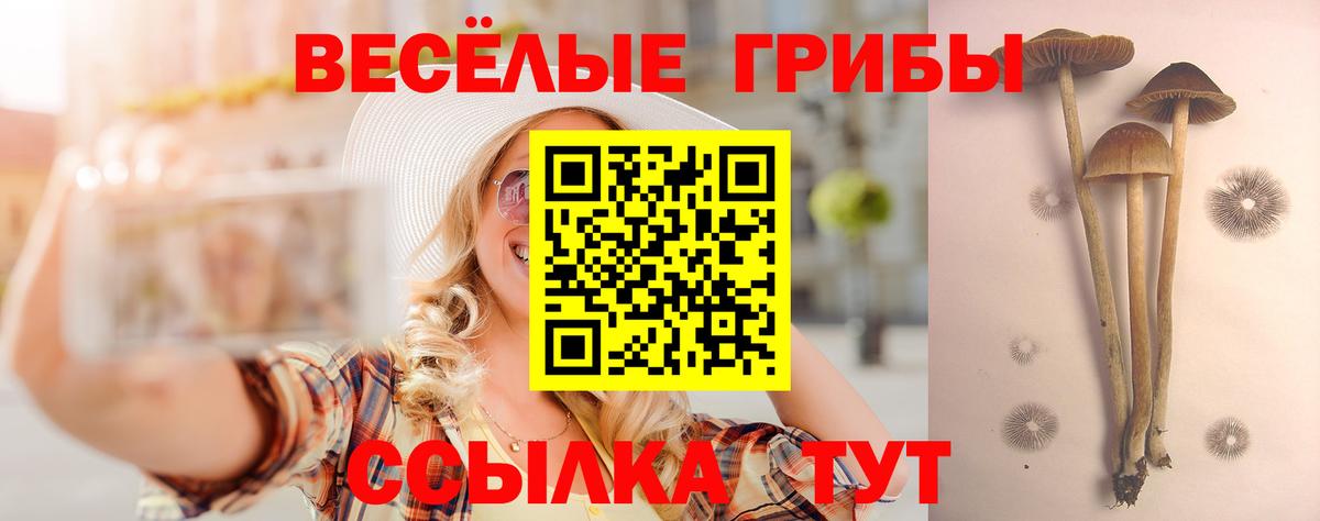 Горно-Алтайск  Галлюциногенные грибы мицелий  Псилоцибиновые грибы Psilocybe  Вход с VPN 