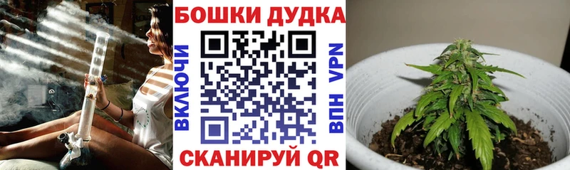 Конопля марихуана  Горно-Алтайск 
